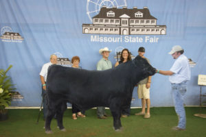 Reserve Grand Champion Bull